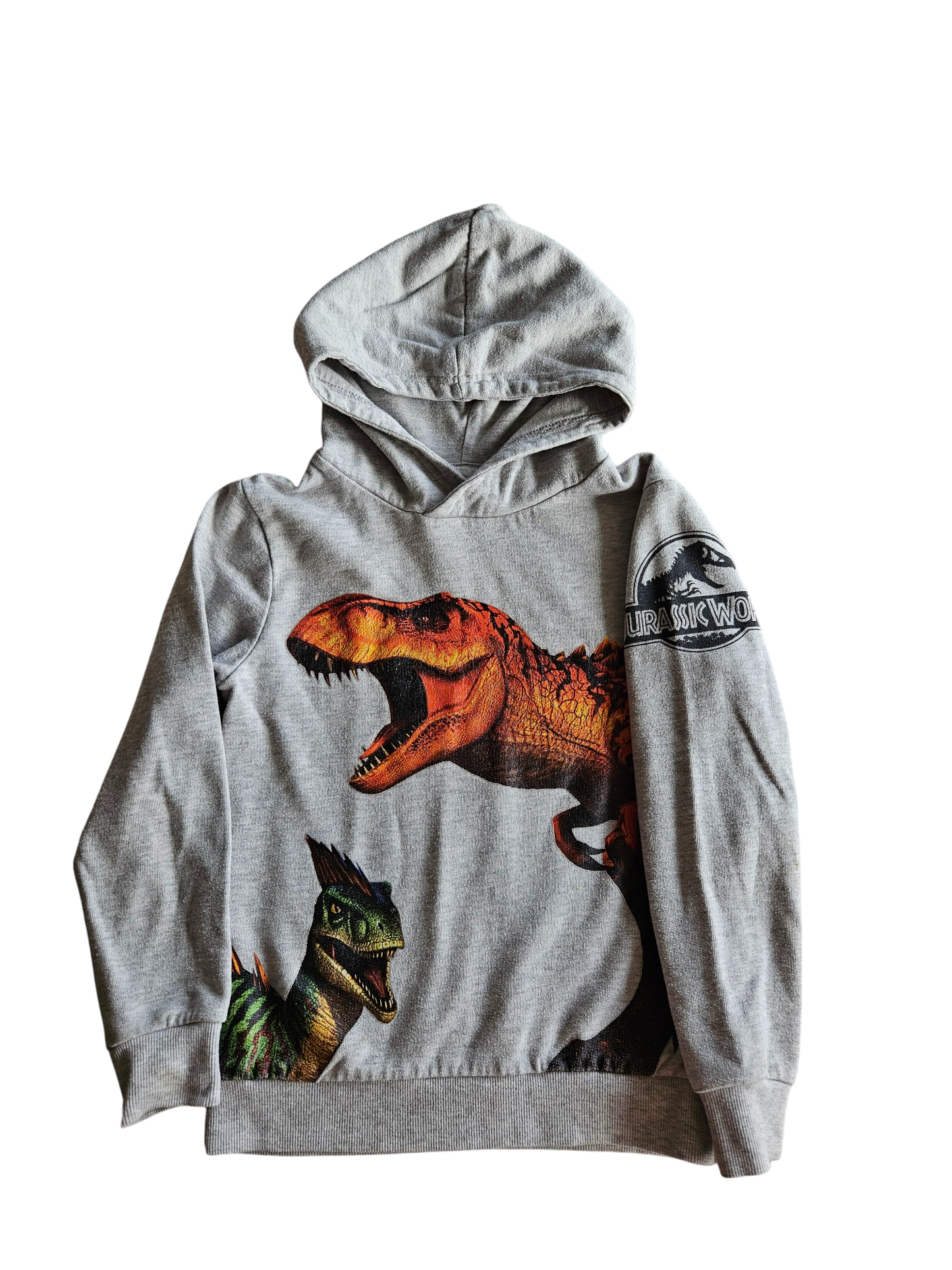 H&M x Jurassic Park dinosaur hoodie 6-8Y