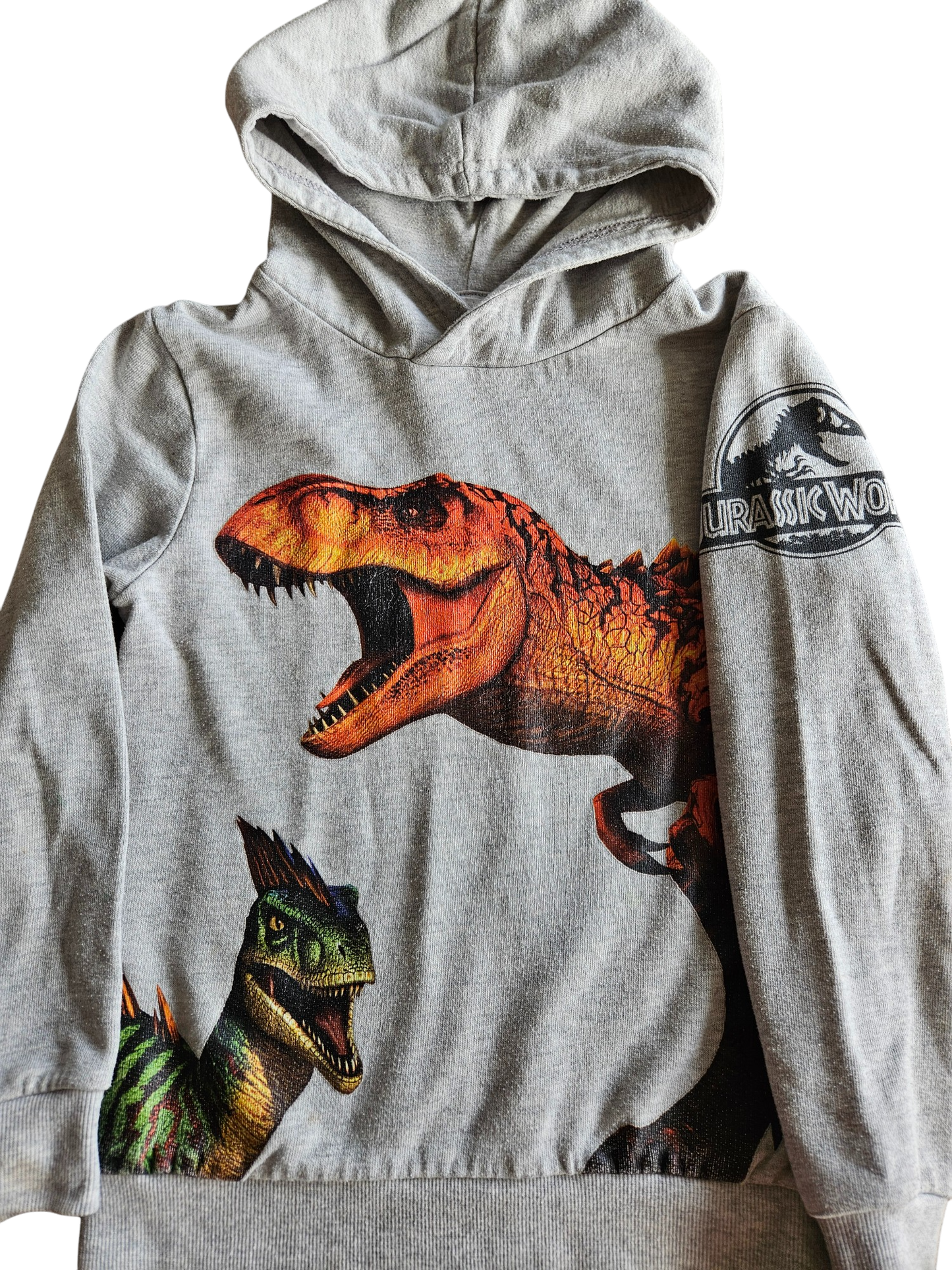 H&M x Jurassic Park dinosaur hoodie 6-8Y