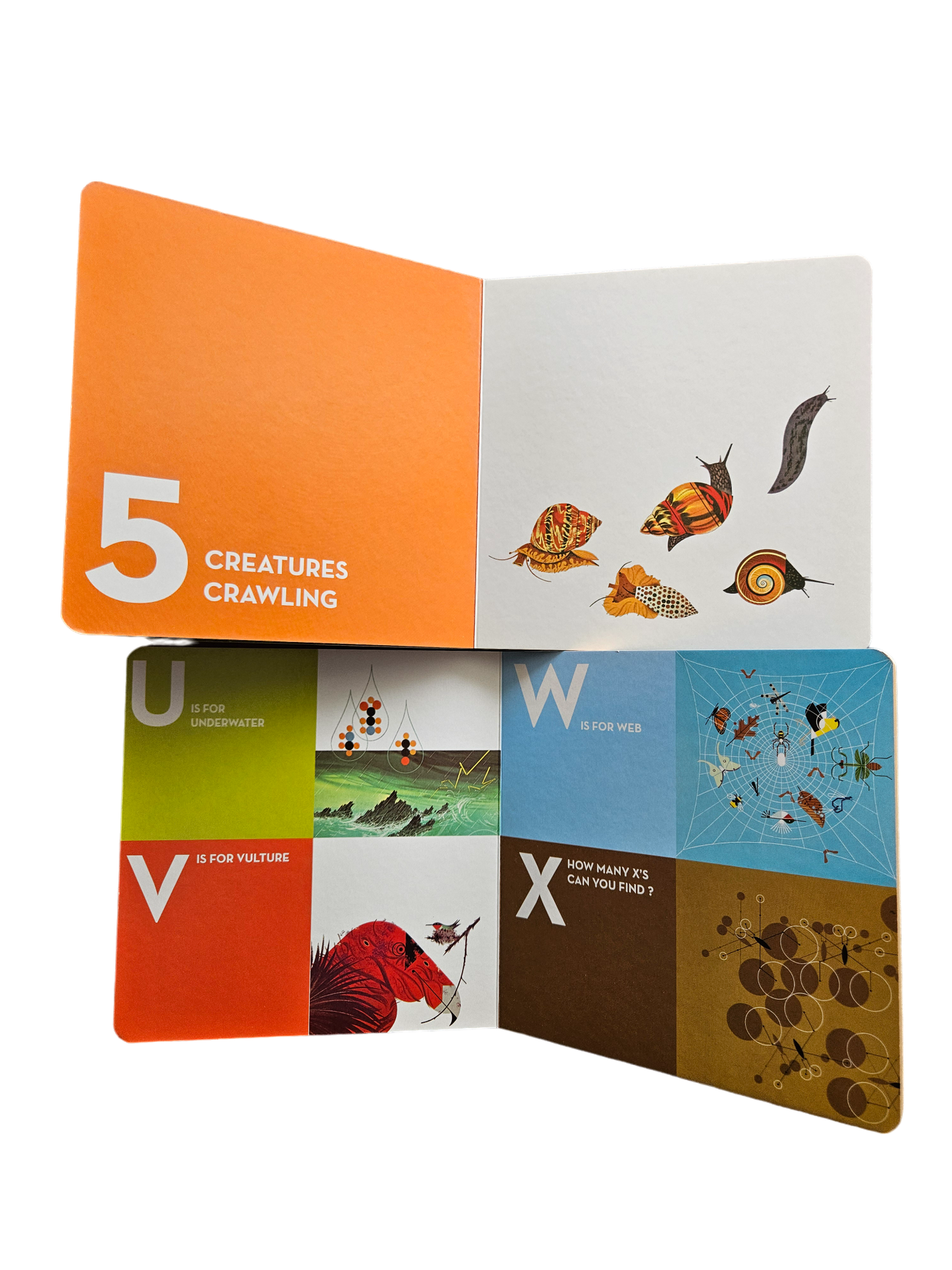 Set of two board books ABCs and 123s
