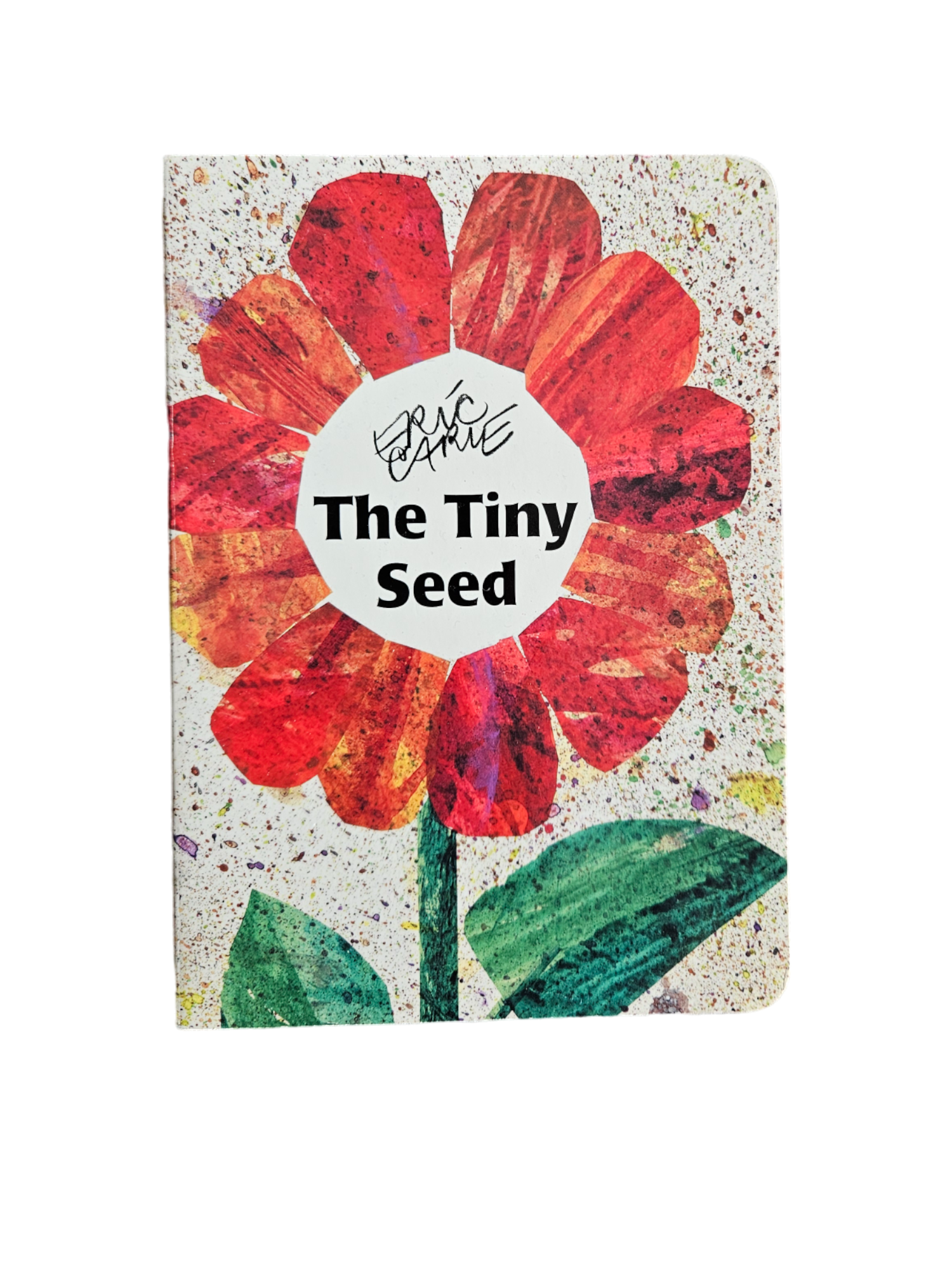 plant the tiny seed board book Eric Carle The Tiny Seed board book – Blue Bear Vintage and Thrift
