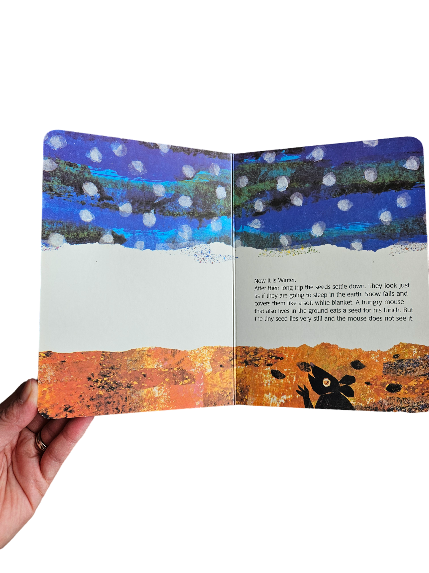 Eric Carle The Tiny Seed board book
