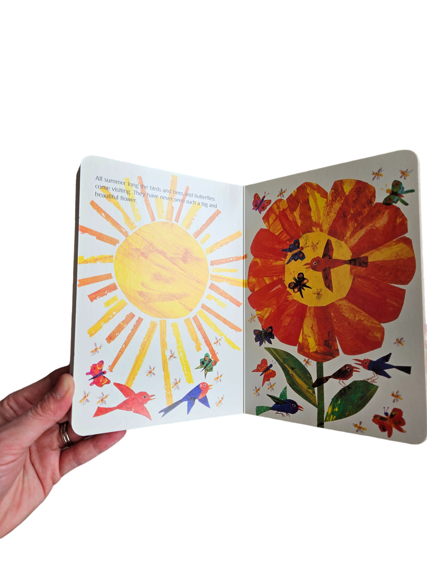 Eric Carle The Tiny Seed board book