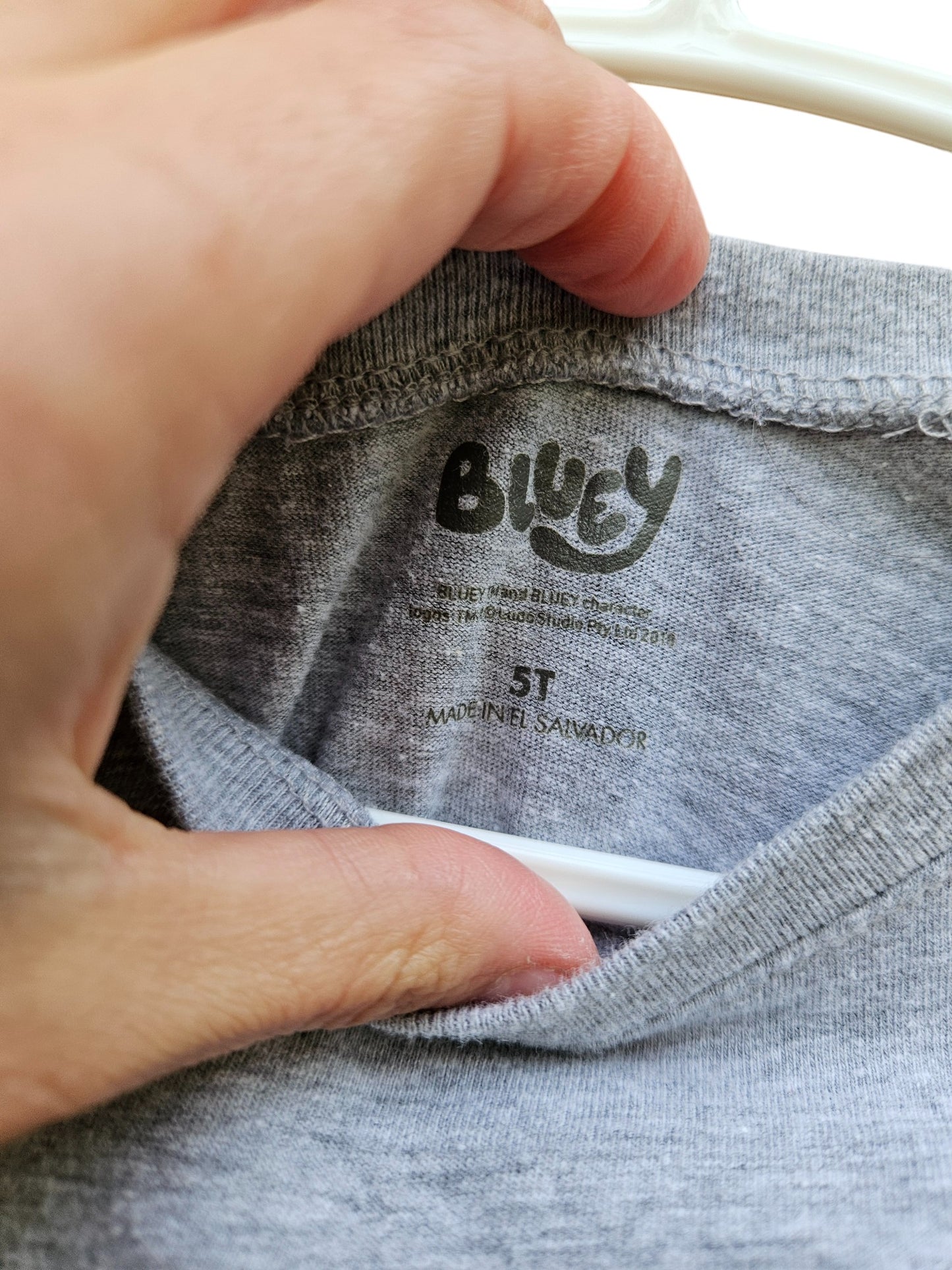 Bluey holiday tee 5T
