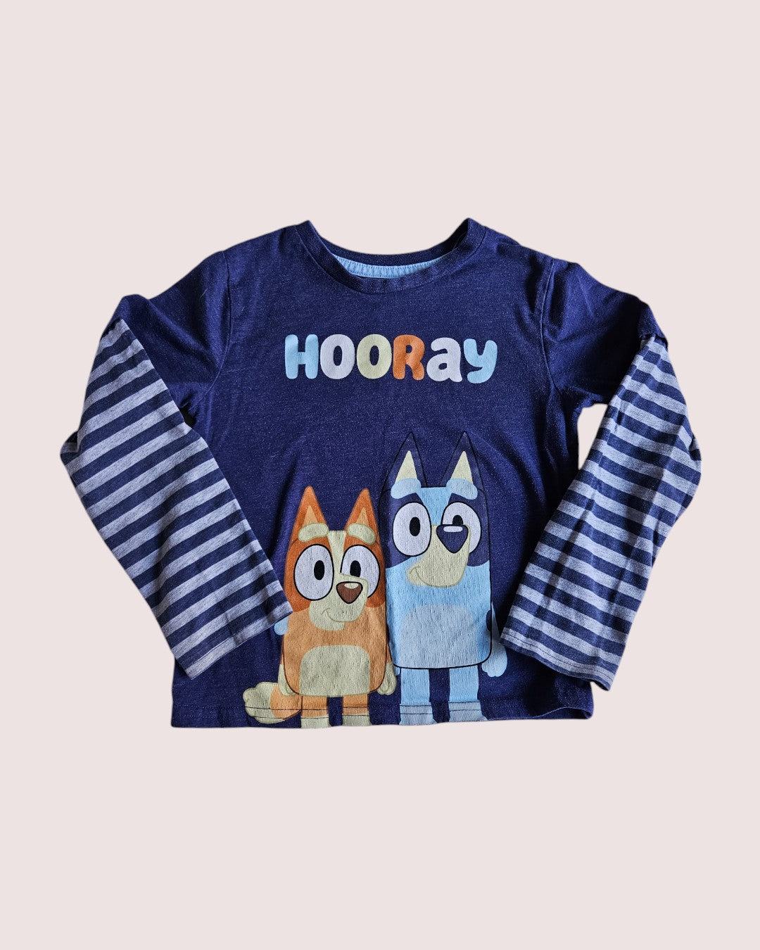 Bluey long sleeve 5T