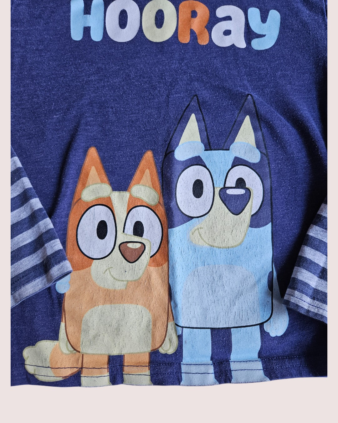 Bluey long sleeve 5T