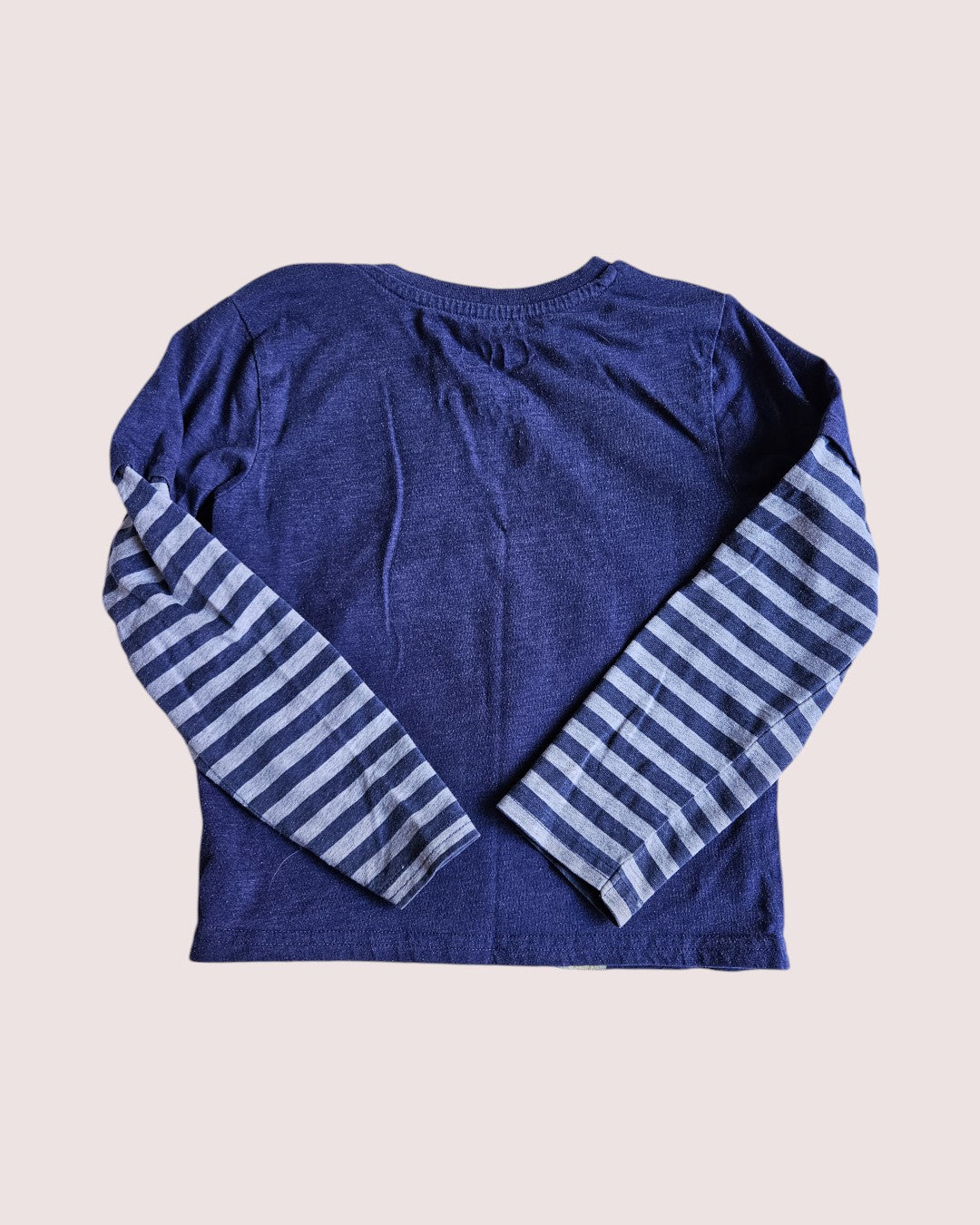 Bluey long sleeve 5T