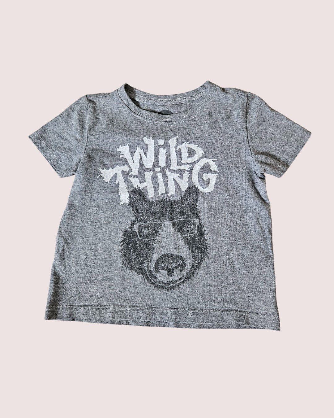 Wild Things tee from Life is Good 3T