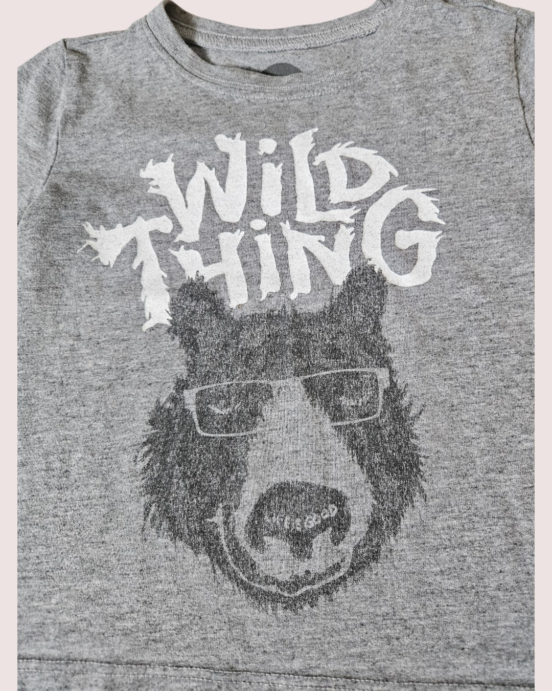 Wild Things tee from Life is Good 3T