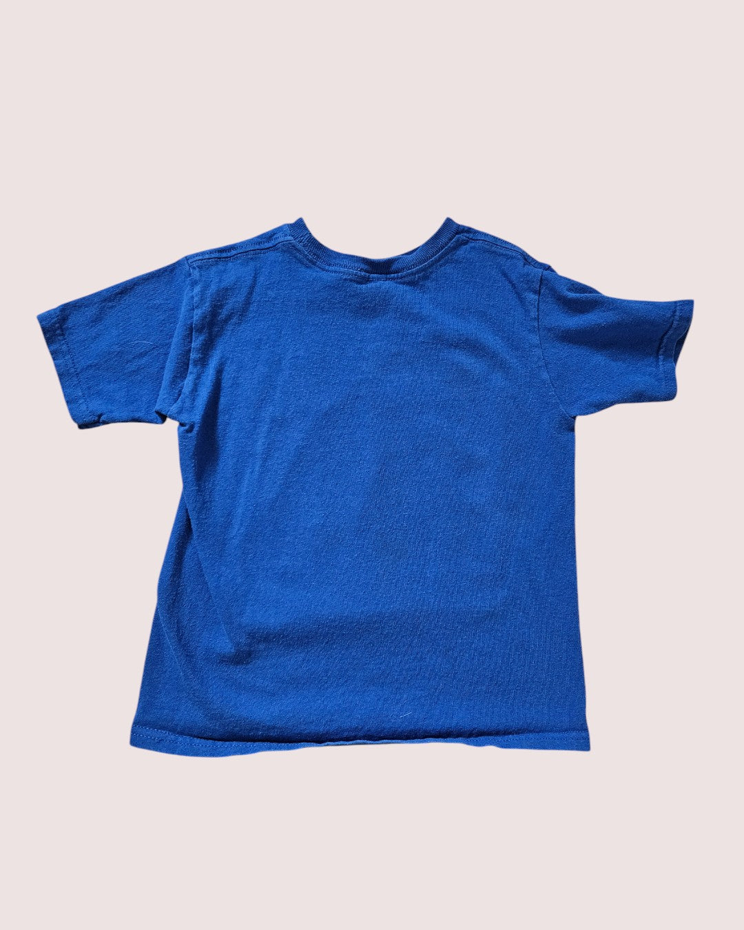 American Lion Safari tee Tagged 6