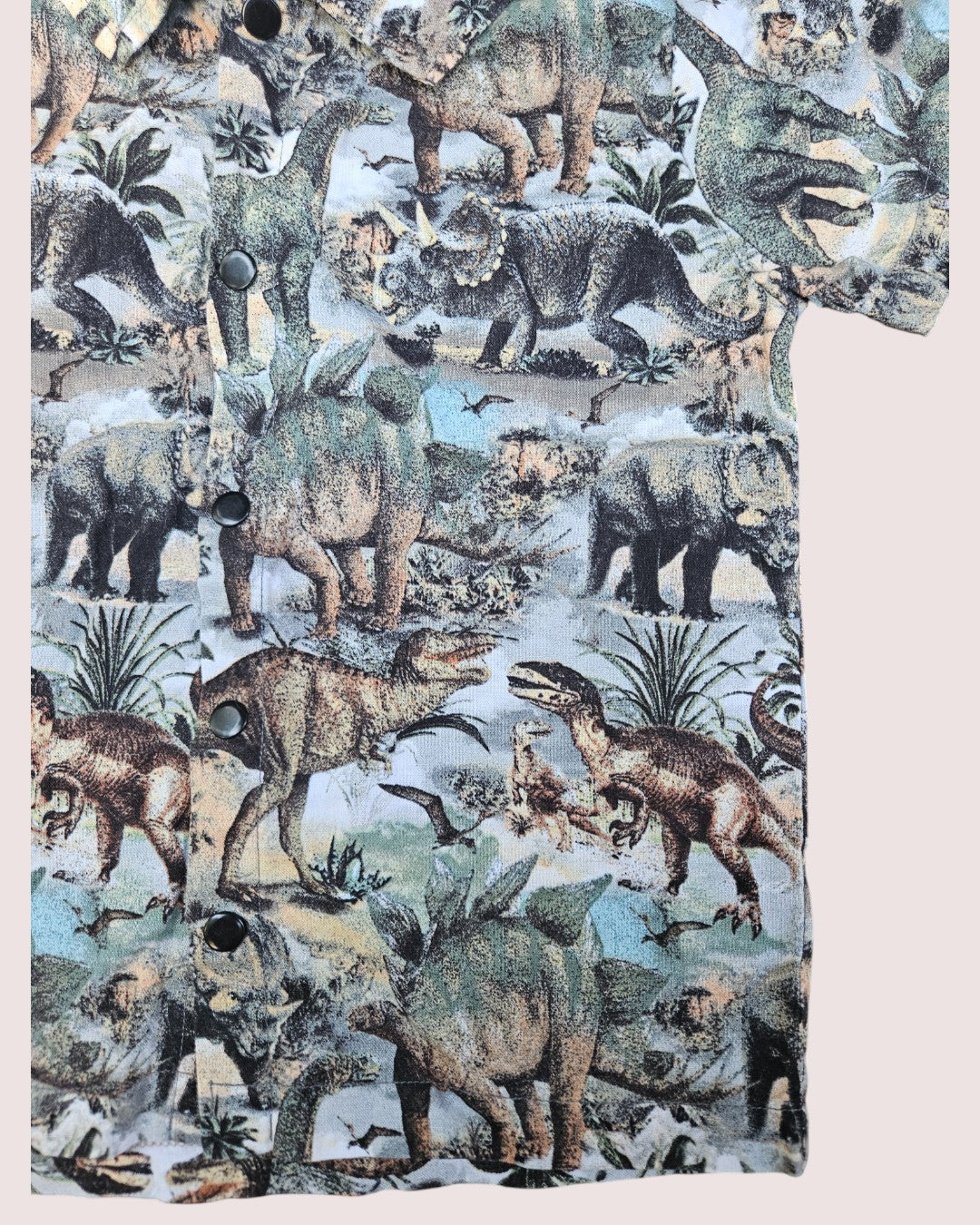 Vintage Little Things by Anna dino print button short sleeve shirt 5T