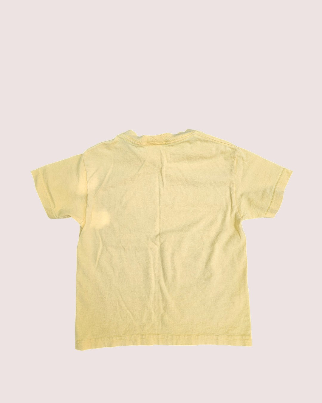 Vintage Disney Pooh and honeybees tee Youth XS 5-6Y