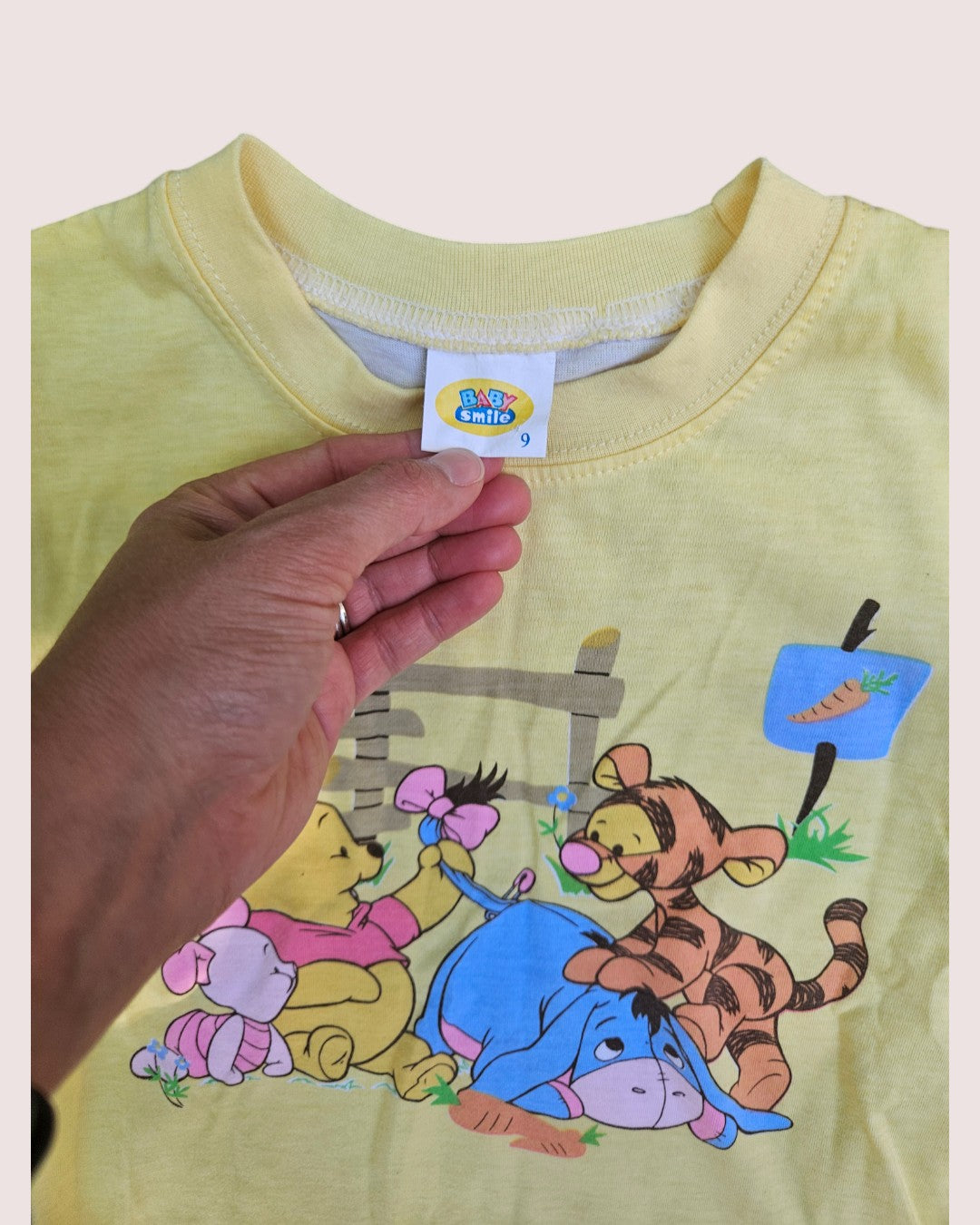 Bootleg Disney Winnie the Pooh two piece short and tee set