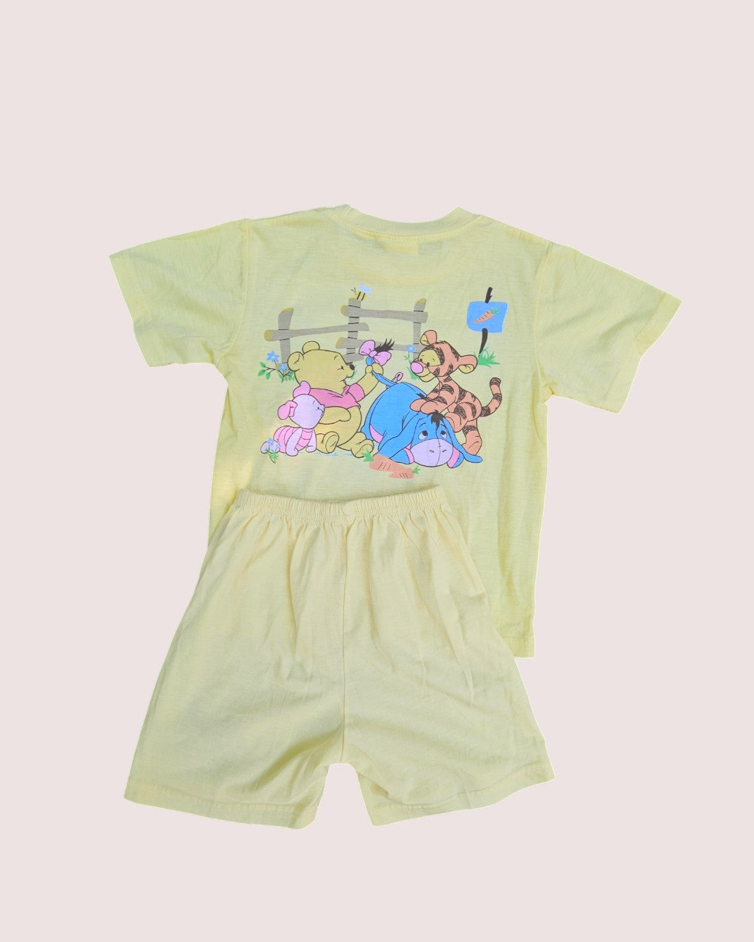 Bootleg Disney Winnie the Pooh two piece short and tee set