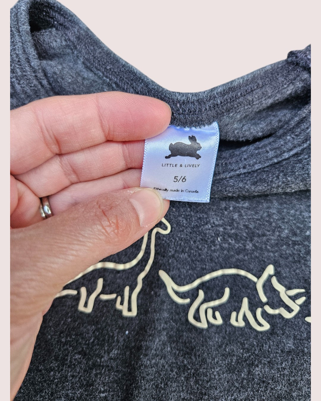 Little and Lively dino print long sleeve 5/6