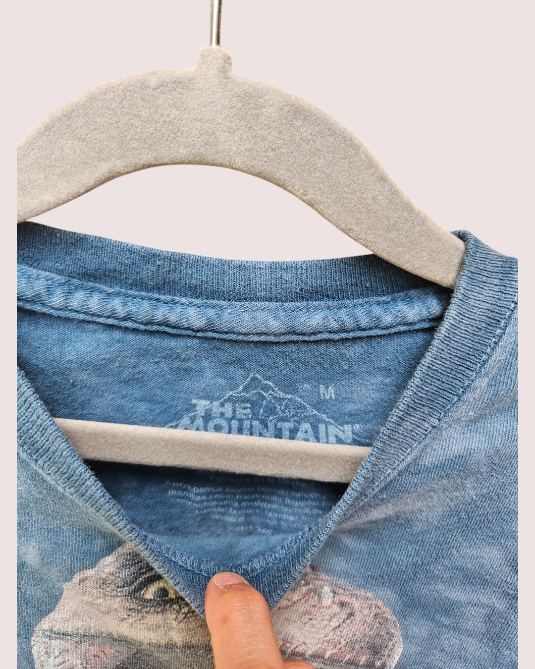 The Mountain Dino tee Youth M 6-8Y