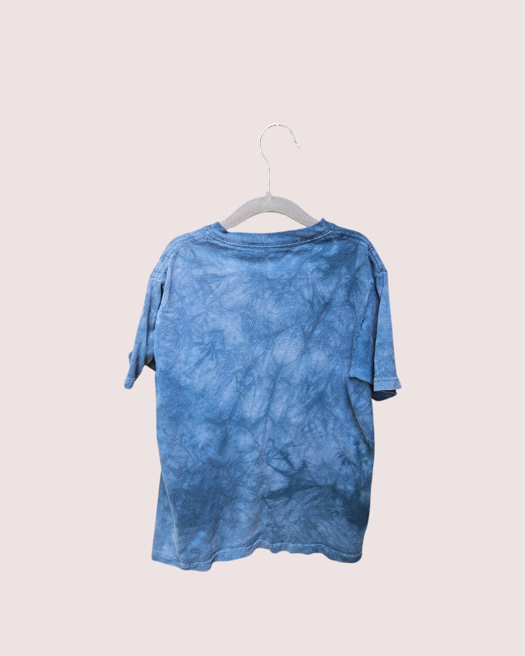 The Mountain Dino tee Youth M 6-8Y