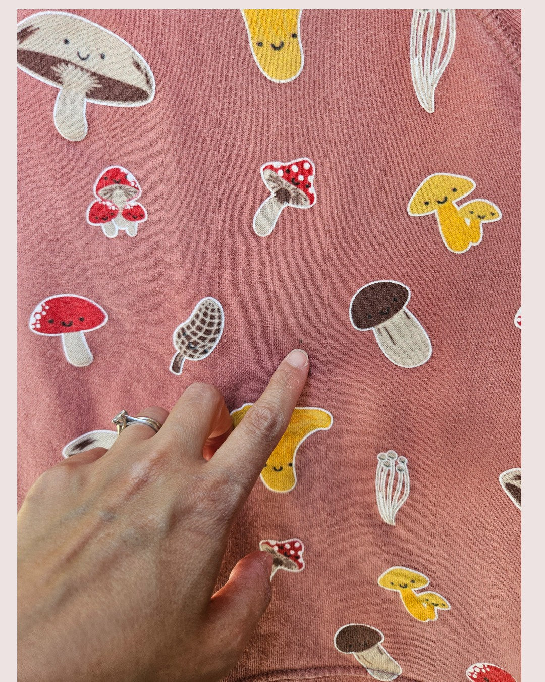 Whistle and Flute mushrooms crewneck Size 3-4