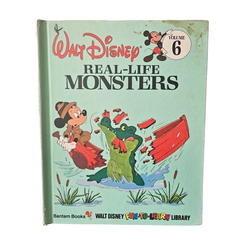 Vintage Disney Fun to Learn collection of 15 books
