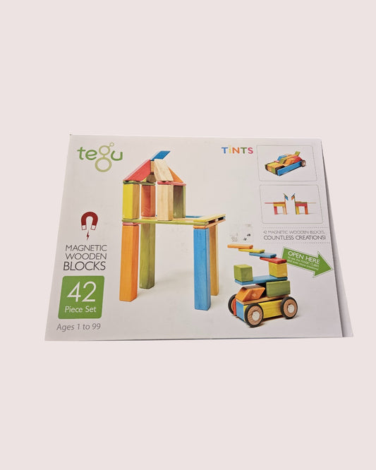 Tegu 42 piece magnetic block set in box