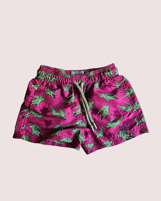 Mayaguana swim shorts Tagged 2/3