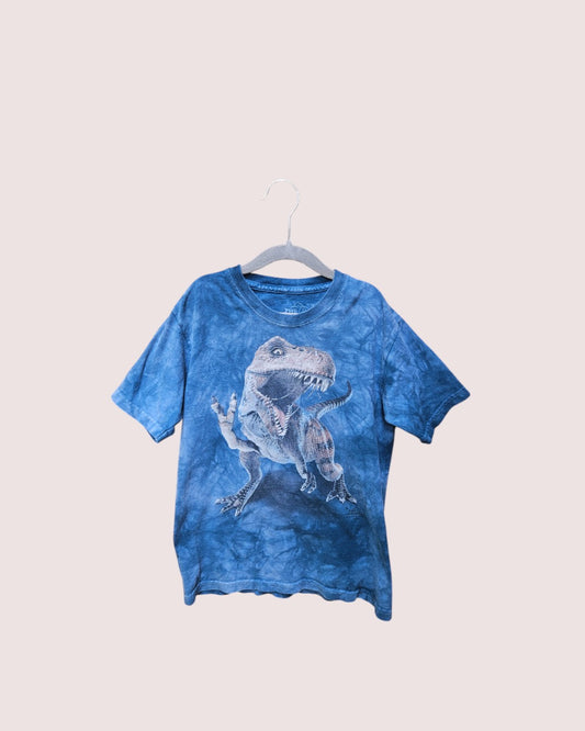 The Mountain Dino tee Youth M 6-8Y