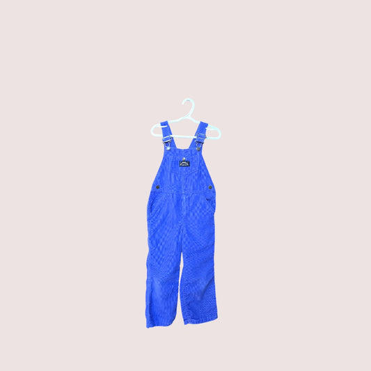 Vintage purple corduroy overalls