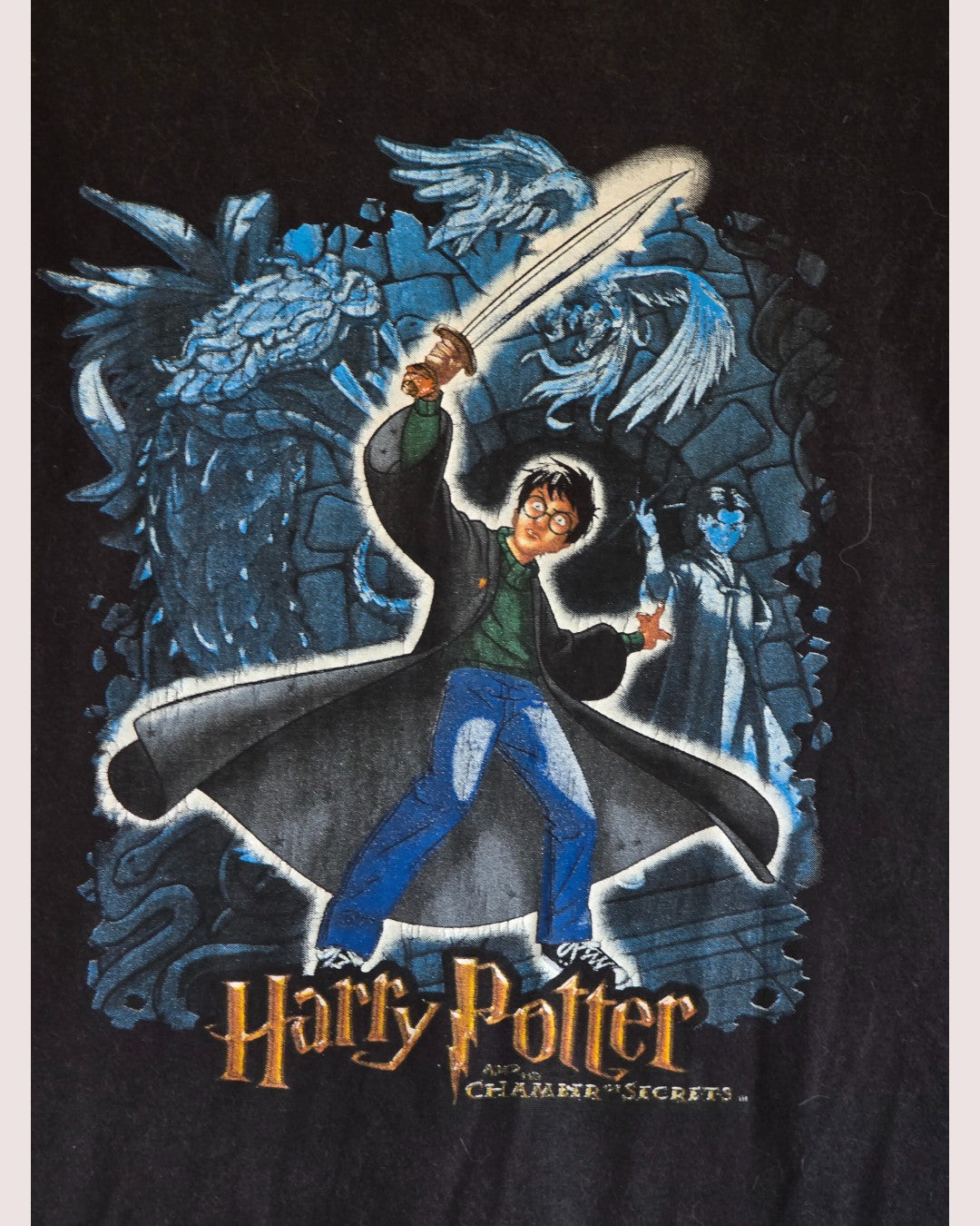 Vintage Harry Potter and the Chamber of Secrets tee Tagged Youth L (10-12)