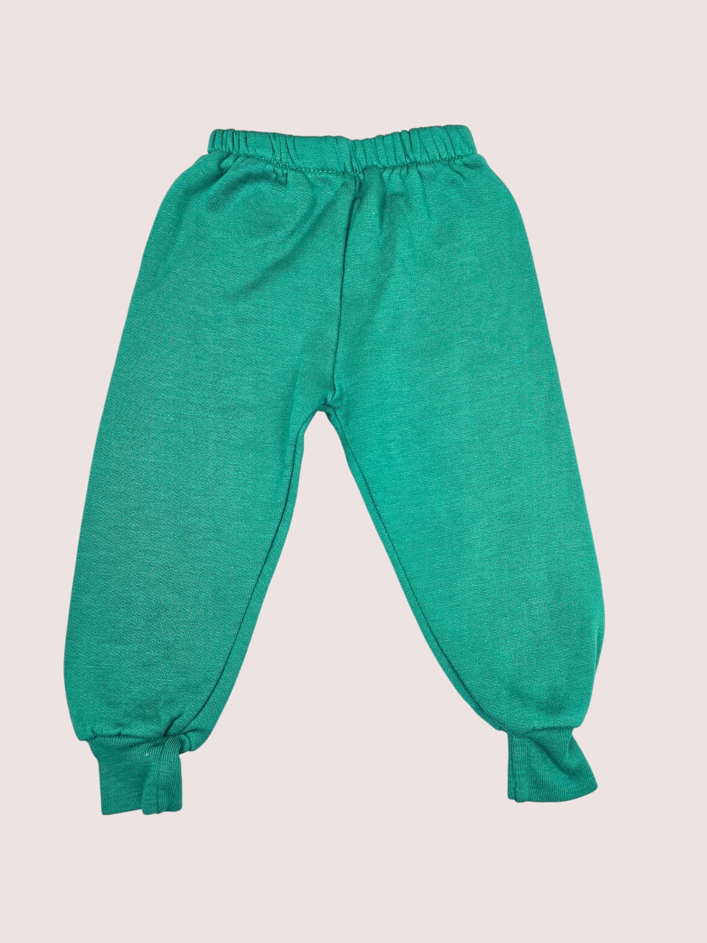 Vintage Dino Hockey two piece set 2T