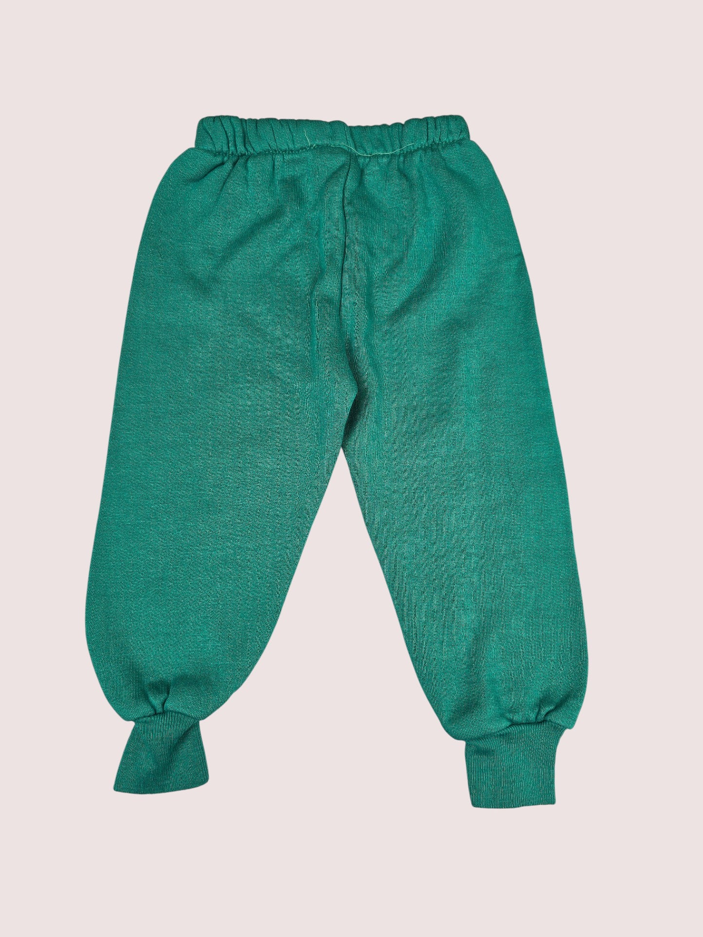 Vintage Dino Hockey two piece set 2T