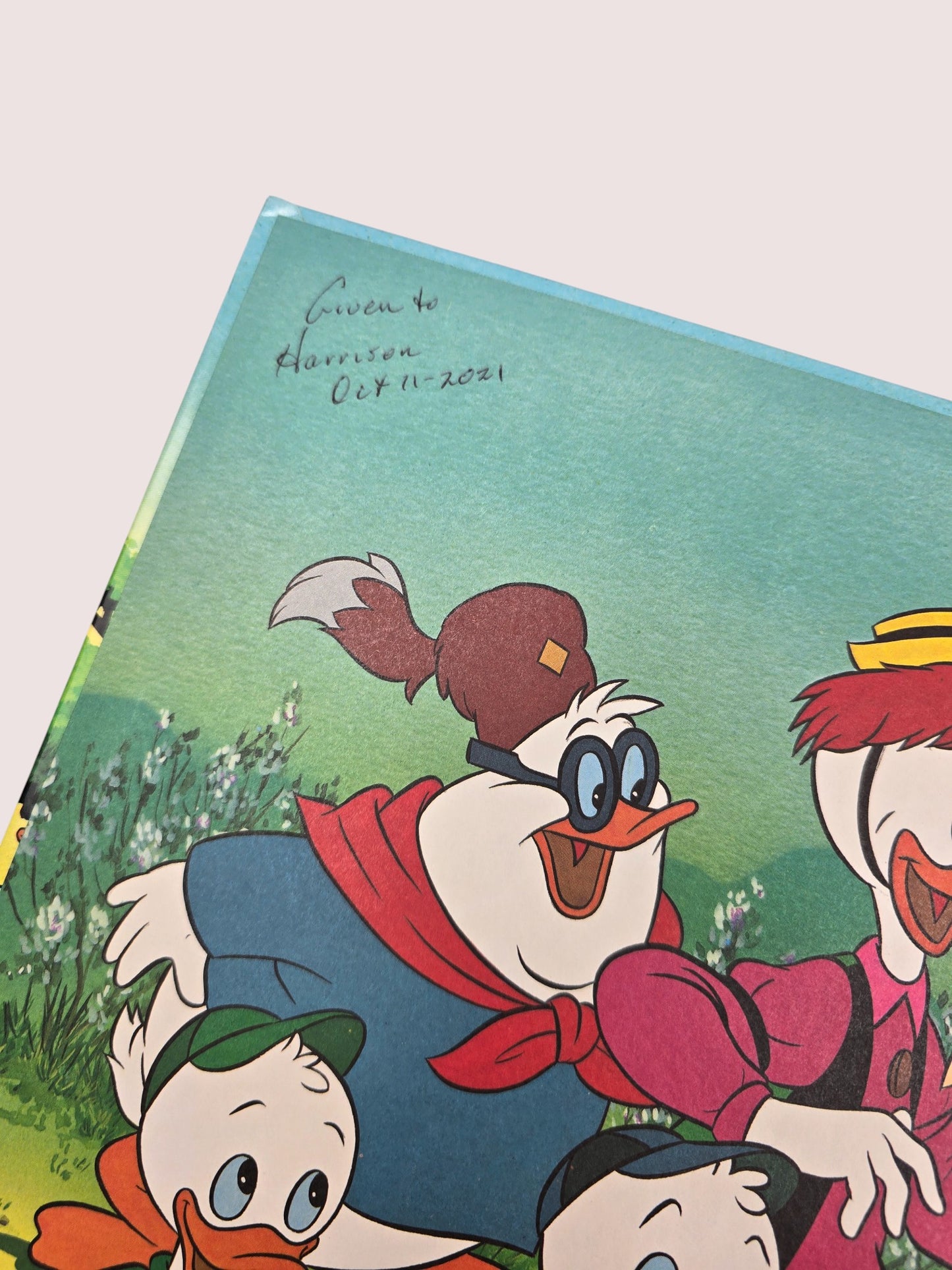Vintage DuckTales hardcover book
