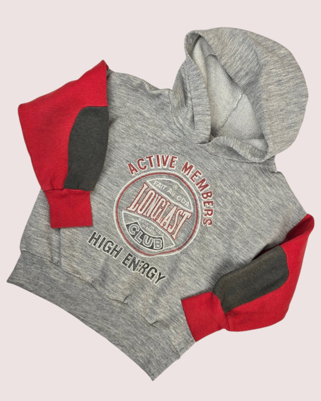 Vintage Harley Longlast hoodie Size tag faded, approx 3-4T