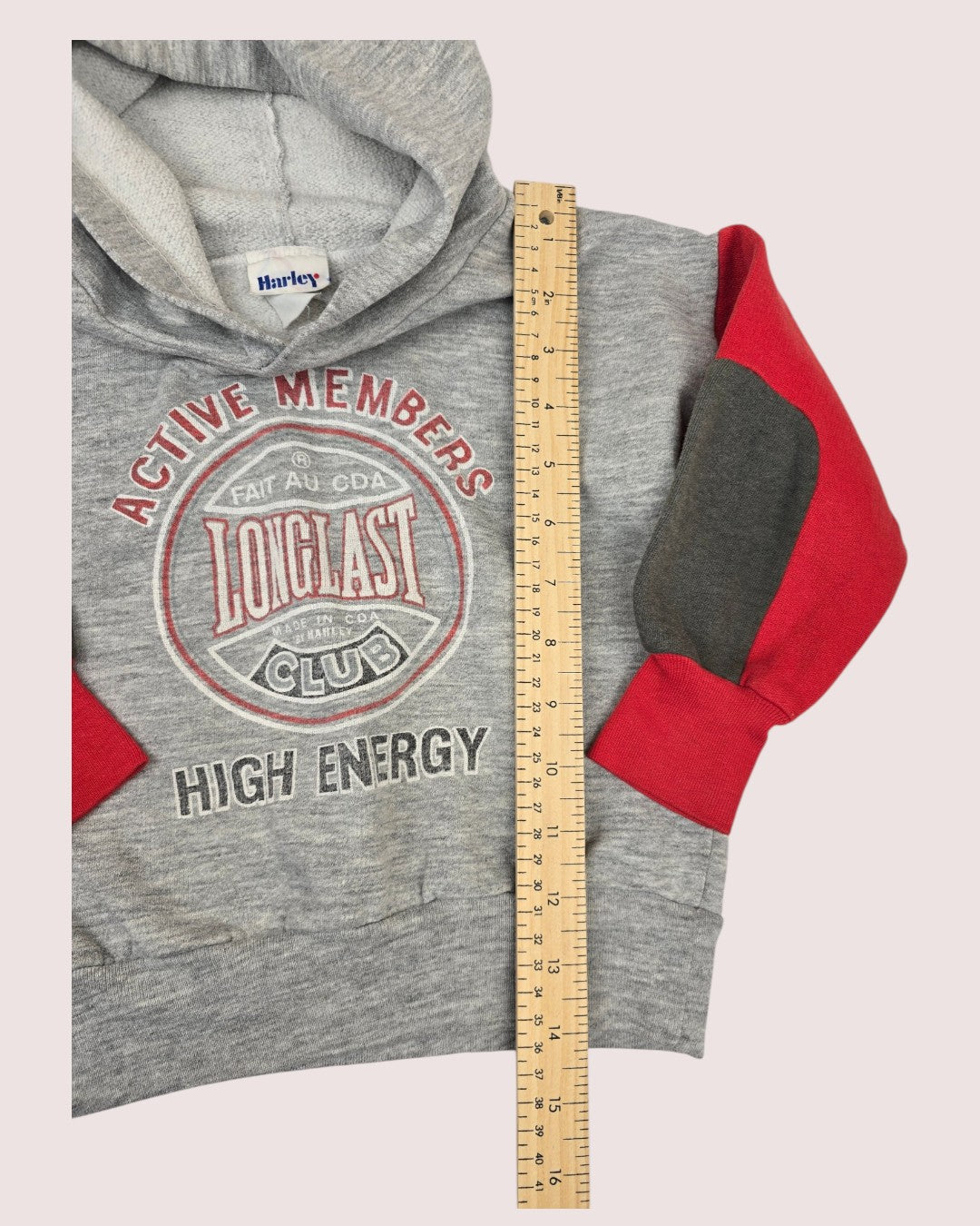 Vintage Harley Longlast hoodie Size tag faded, approx 3-4T