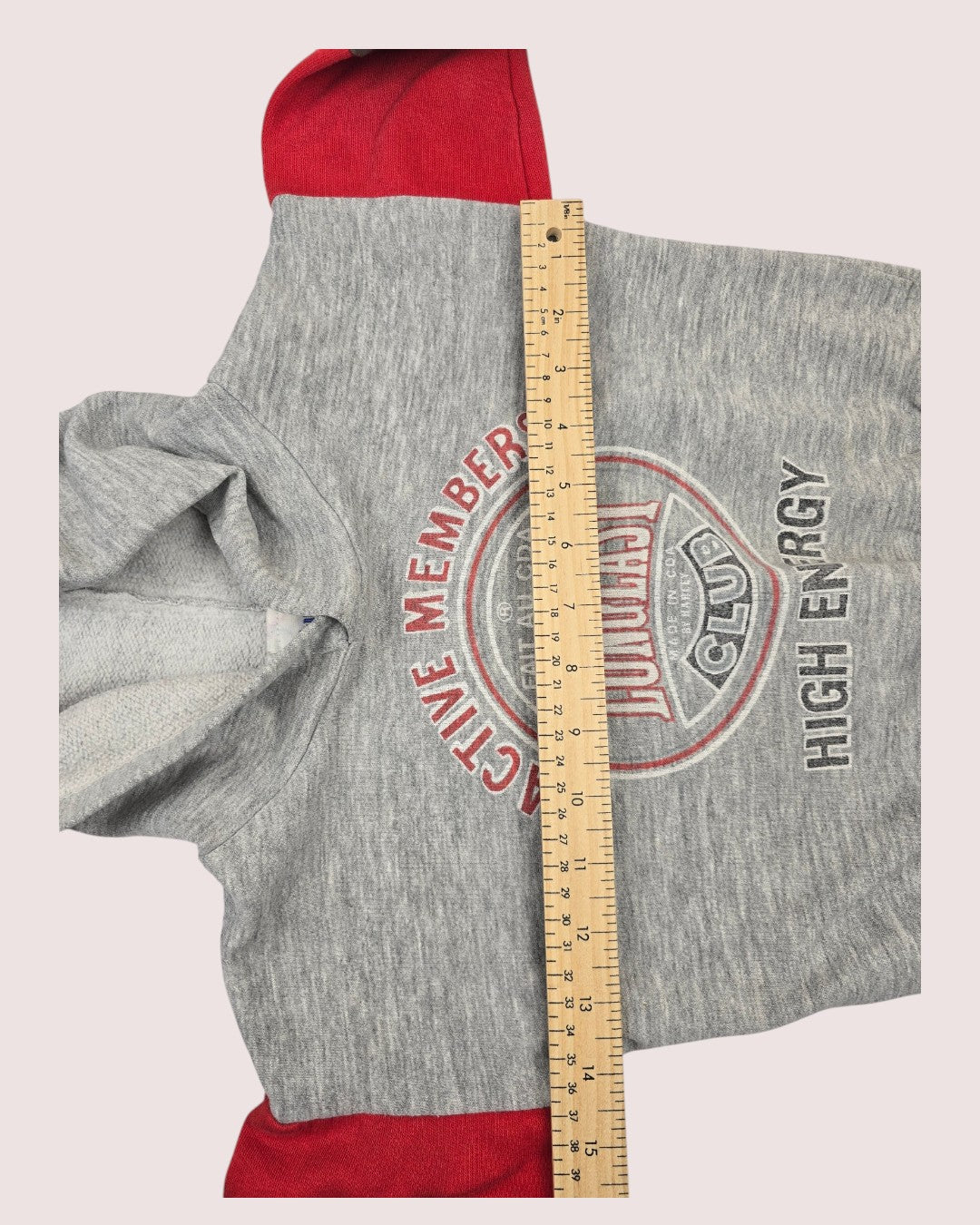 Vintage Harley Longlast hoodie Size tag faded, approx 3-4T