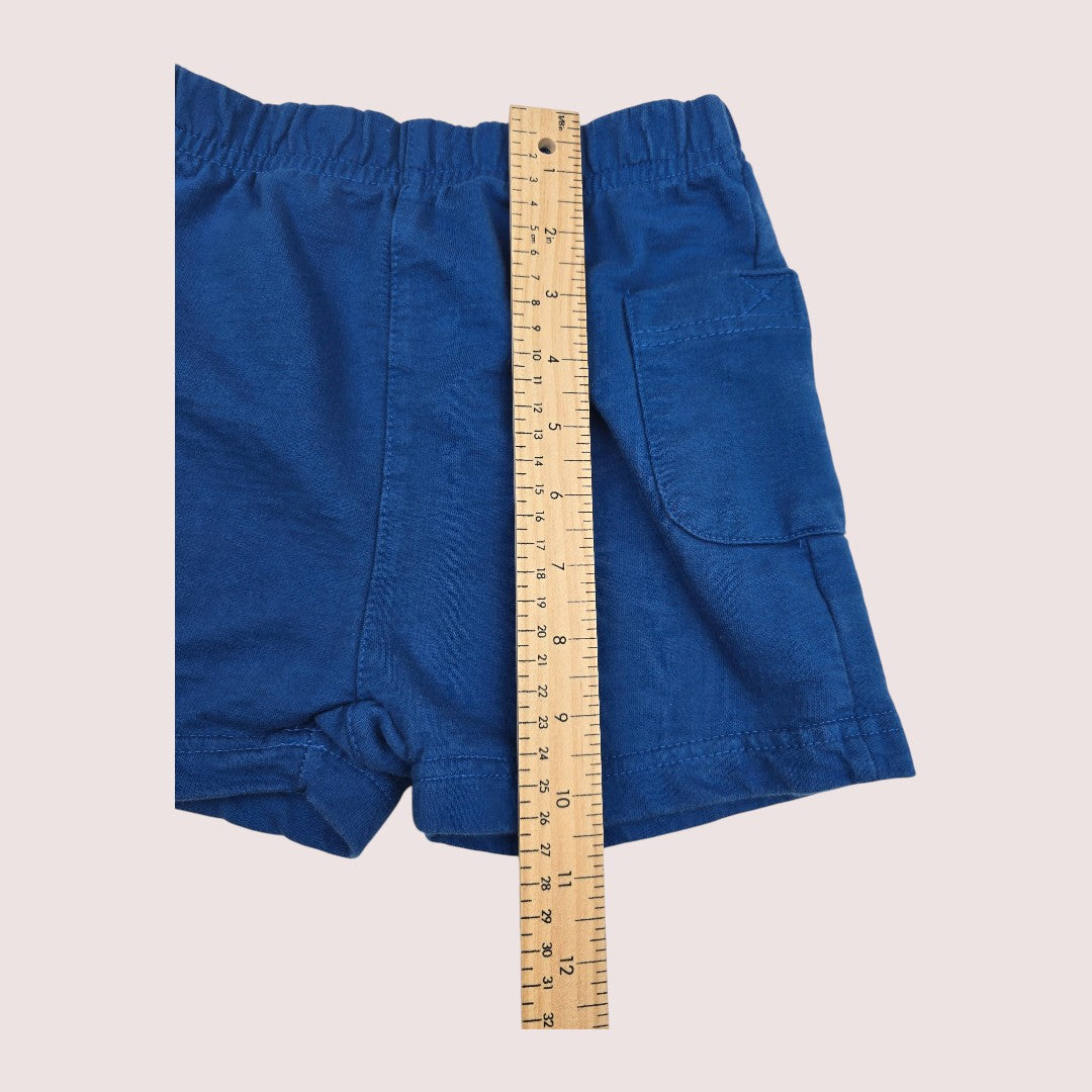 Vintage Outline from The Bay shorts 2-4T