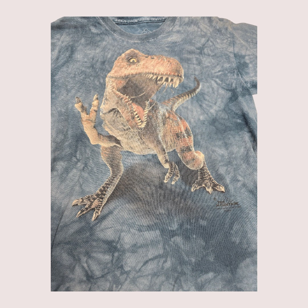 The Mountain dinosaur tee Tagged Youth M, fits approx 6-8Y