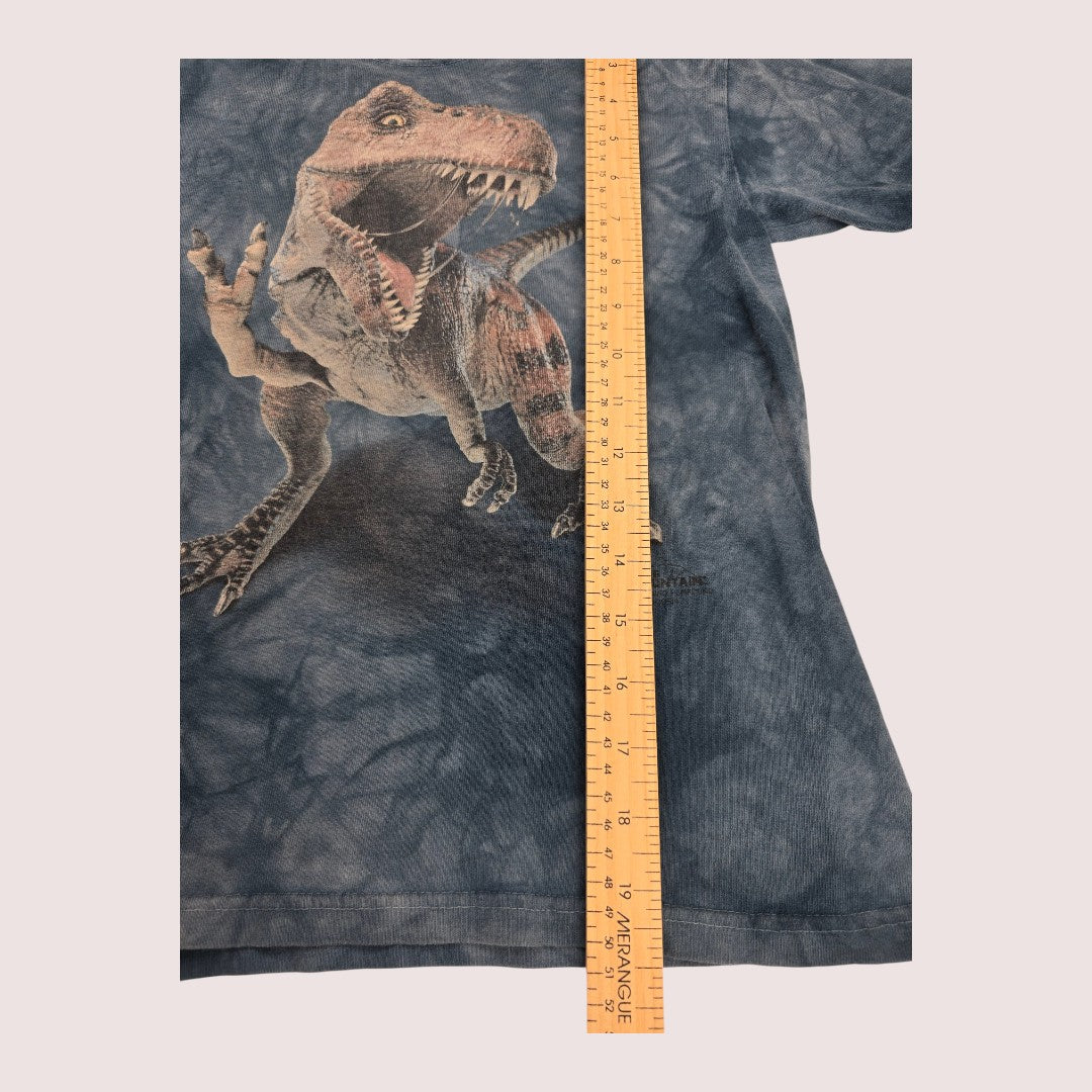 The Mountain dinosaur tee Tagged Youth M, fits approx 6-8Y