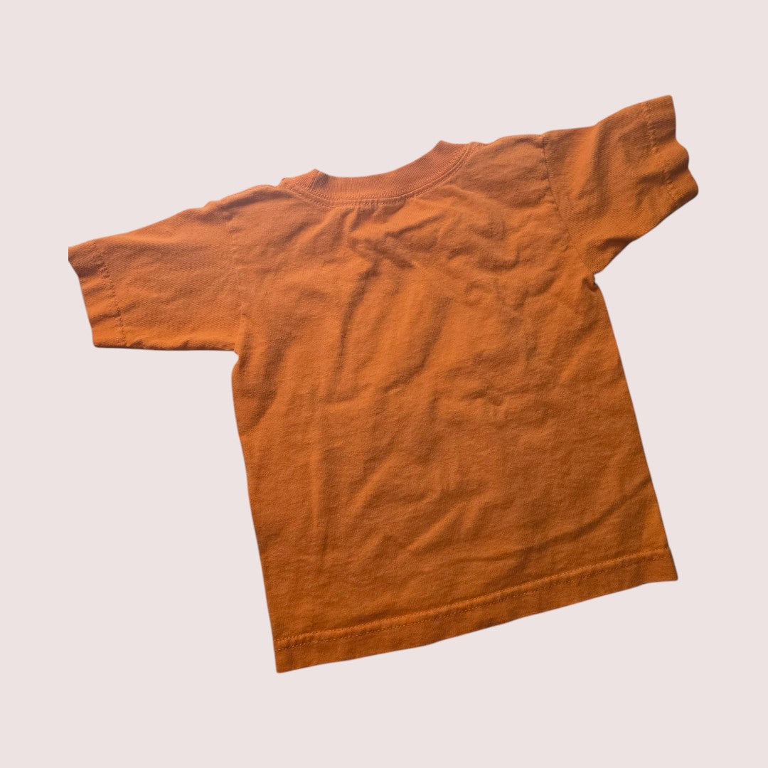 Puff paint "Don't Bug Me" tourist tee 2-4T