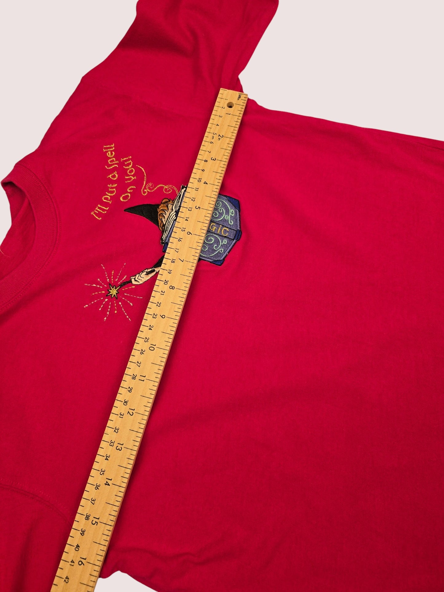 Y2K Harry Potter long sleeve shirt With 3D embroidered Hermione 8-12Y