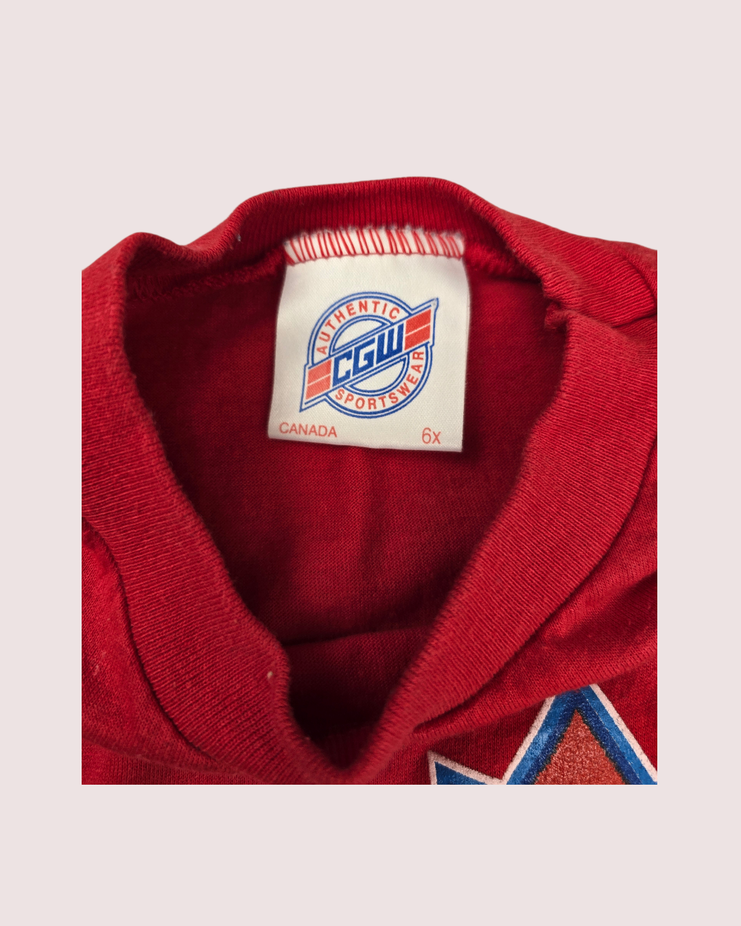 Vintage Blue Jays Skydome tee 6X