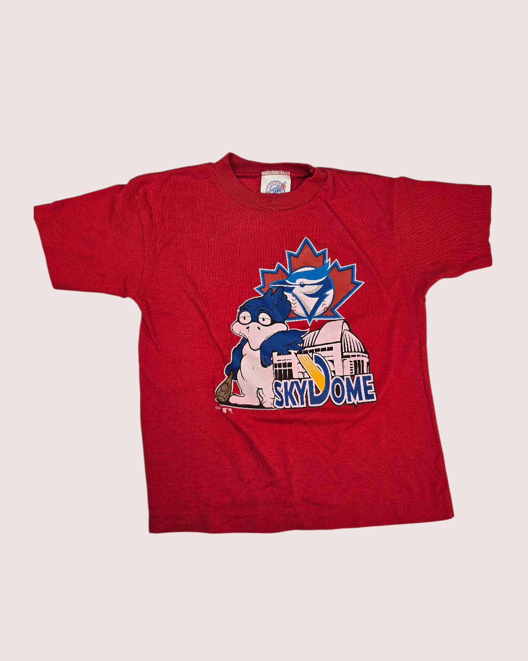 Vintage Blue Jays Skydome tee 6X