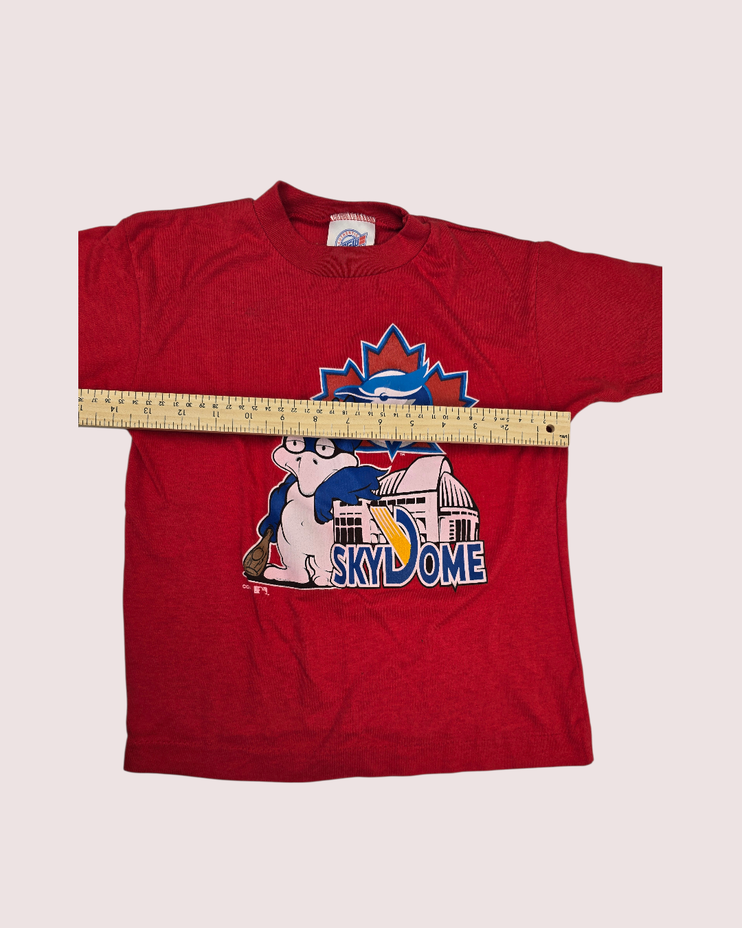 Vintage Blue Jays Skydome tee 6X