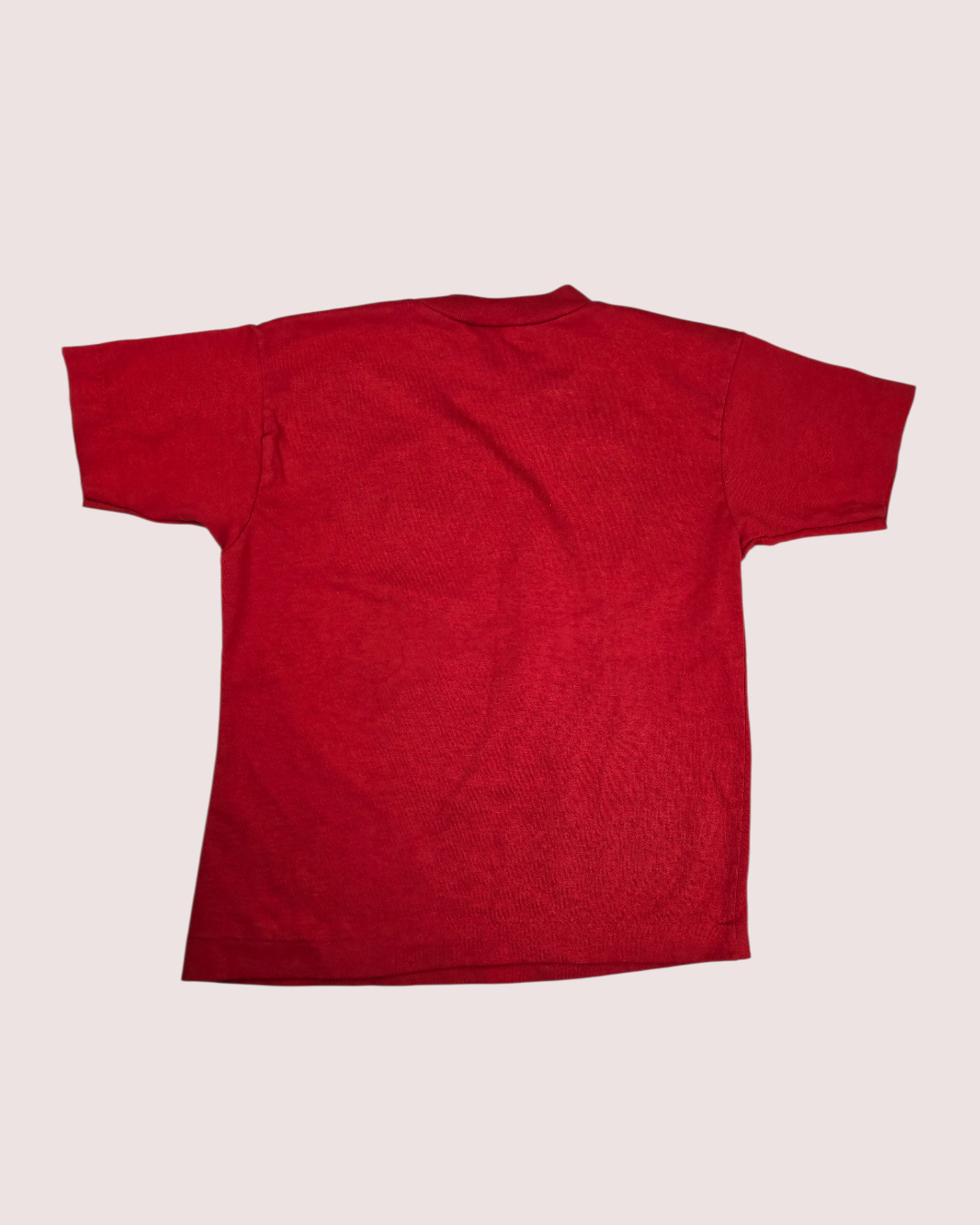 Vintage Blue Jays Skydome tee 6X