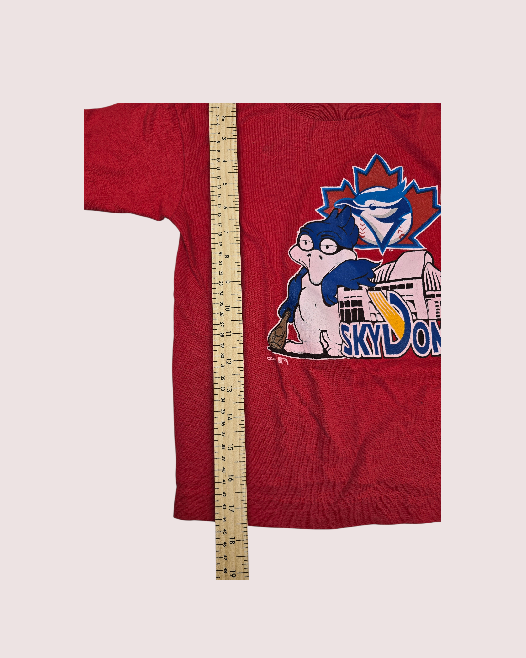 Vintage Blue Jays Skydome tee 6X